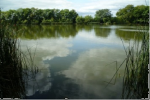 Moorland Fisheries