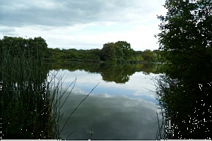 Moorland Fisheries