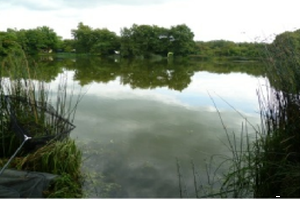 Moorland Fisheries