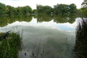 Moorland Fisheries