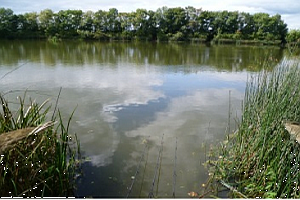 Moorland Fisheries